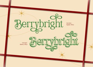Belgion – Modern Elegant Font preview image 3
