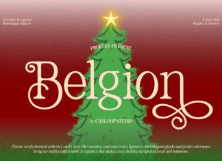 Belgion – Modern Elegant Font preview image 1