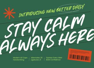 Better Daily – Modern All Caps Handwritting Font preview image 1