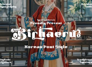 Bichaeru – Korean Typeface Font preview image 1