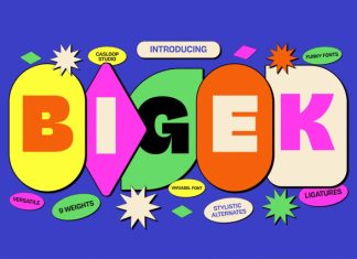 Bigek – Chunky Pop Groovy 9 Fonts preview image 1