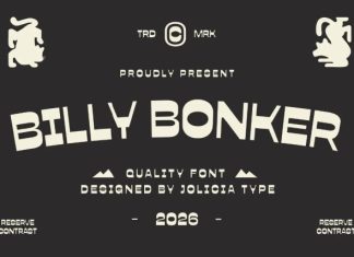 Billy Bonker Font preview image 1