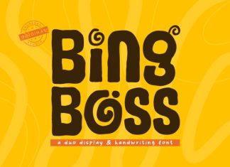 Bing Boss Font preview image 1