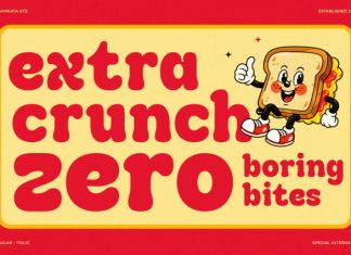 Biscova – Groovy Retro Display Font preview image 3