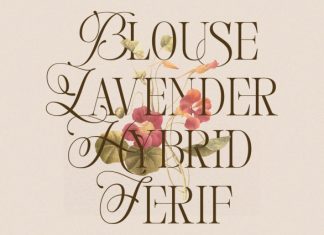 Blouse Lavender Display Serif Font preview image 3
