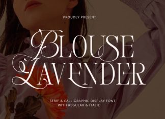 Blouse Lavender Display Serif Font preview image 1