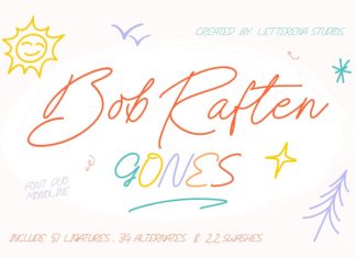 Bob Raften Gones – Font Duo Monoline preview image 2