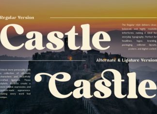 Bolstia – Retro Display Serif Font preview image 3