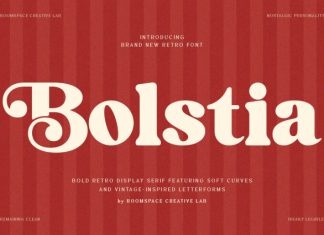 Bolstia – Retro Display Serif Font preview image 1