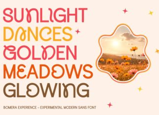 Bomera Experience Font preview image 2