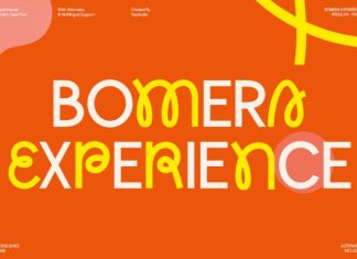 Bomera Experience Font preview image 1