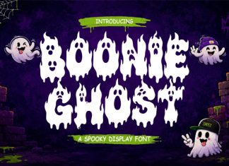 Boonie Ghost Font preview image 1