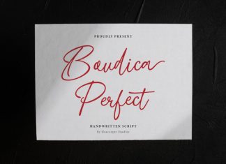 Boudica Perfect Handwritten Script Font preview image 1