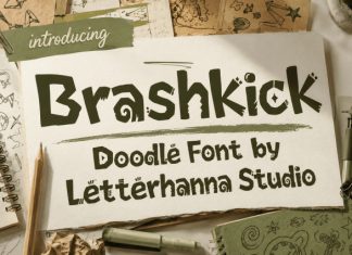 Brashkick Doodle Font preview image 1
