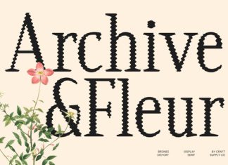 Brones Distort Font preview image 2