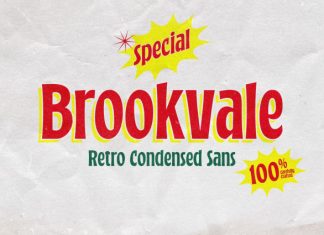Brookvale – Retro Condensed Sans Font preview image 1