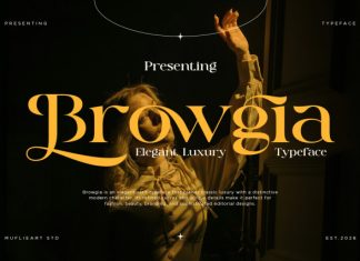 Browgia – Elegant Luxury Typeface Font preview image 1