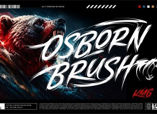 Brutally Ursa Font preview image 3