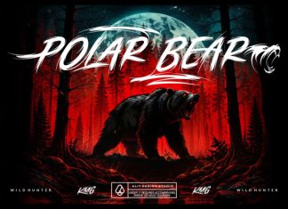Brutally Ursa Font preview image 2
