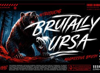 Brutally Ursa Font preview image 1