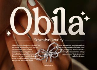 Buctera – Elegant Retro Serif Font preview image 2