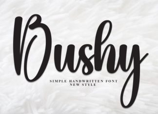 Bushy Font preview image 1