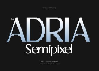 CS Adria Semipixel Font preview image 1