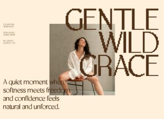 CS Antire Semipixel Font preview image 3