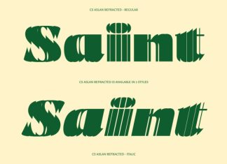 CS Aslan Refracted Font preview image 3
