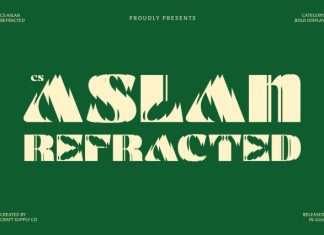 CS Aslan Refracted Font preview image 1