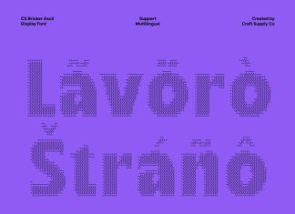 CS Bricker Ascii Font preview image 3