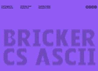 CS Bricker Ascii Font preview image 1