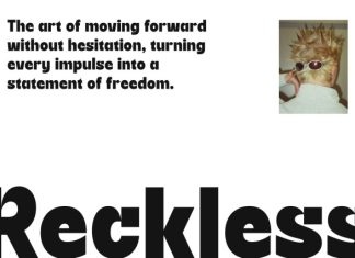 CS Brolin – Bold Sans Serif Font preview image 2