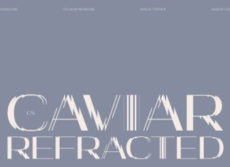 CS Caviar Refracted Font preview image 1