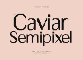 CS Caviar Semipixel Font preview image 1
