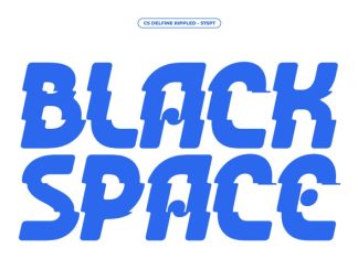 CS Delfine Rippled Font preview image 3