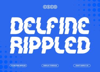 CS Delfine Rippled Font preview image 1