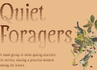CS Gretha Halfpixel Font preview image 3