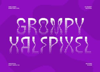 CS Grompy Halfpixel Font preview image 1