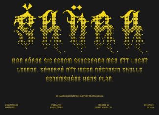 CS Hastings Halfpixel Font preview image 2