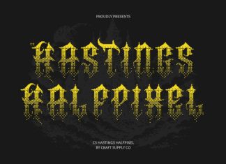 CS Hastings Halfpixel Font preview image 1