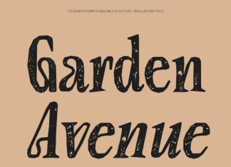 CS Quinoa Stamp Font preview image 2