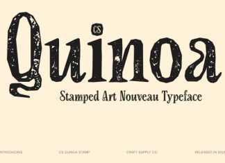 CS Quinoa Stamp Font preview image 1