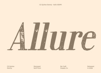 CS Quitos Stamp Font preview image 2