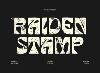CS Raiden Stamp Font preview image 1
