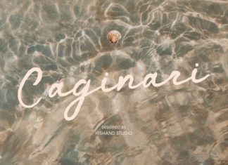 Caginari Script Font preview image 1