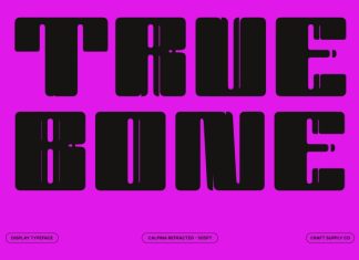 Calpina Refracted Font preview image 3
