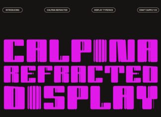 Calpina Refracted Font preview image 1