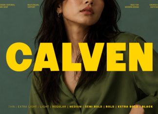 Calven – Family Modern Sans Serif Font preview image 1