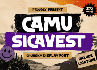 Camu Sicavest – Chunky Display Font preview image 1